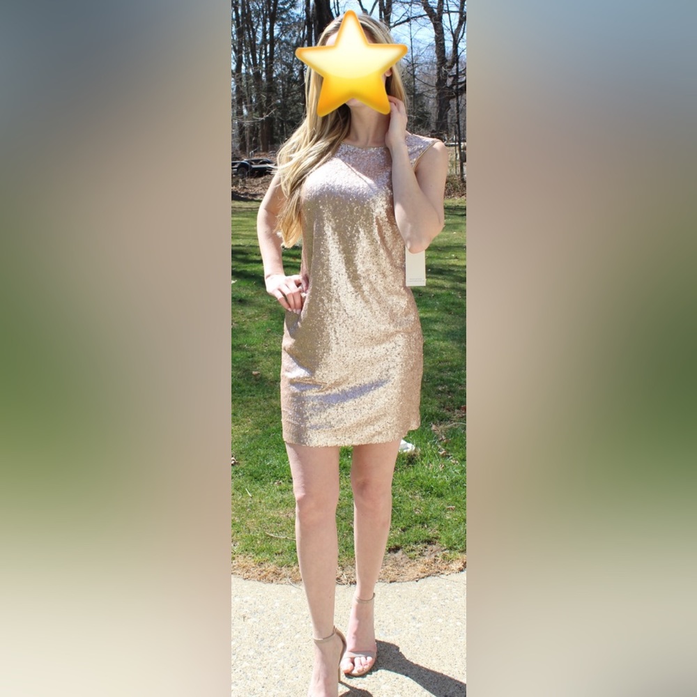 NWT Tobi Glitter Sequin Dress